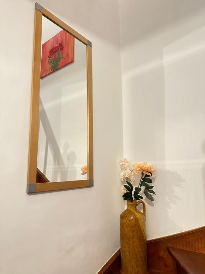 Green Paradise & Cozy Retreat Salzburg With Free Parking Luaran gambar